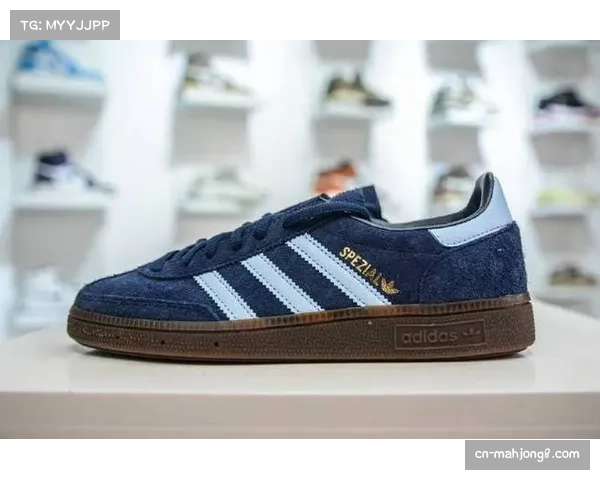 DFL执行委员会一致批准与阿迪达斯八年合作协议